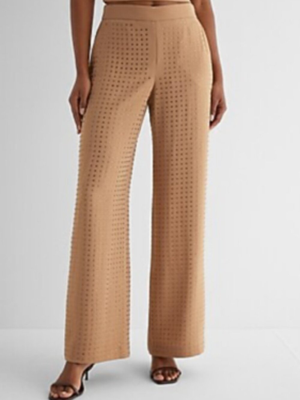 Express Pecan Amber Rhinestone High Rise Wide Leg Pant Sz 12 Long